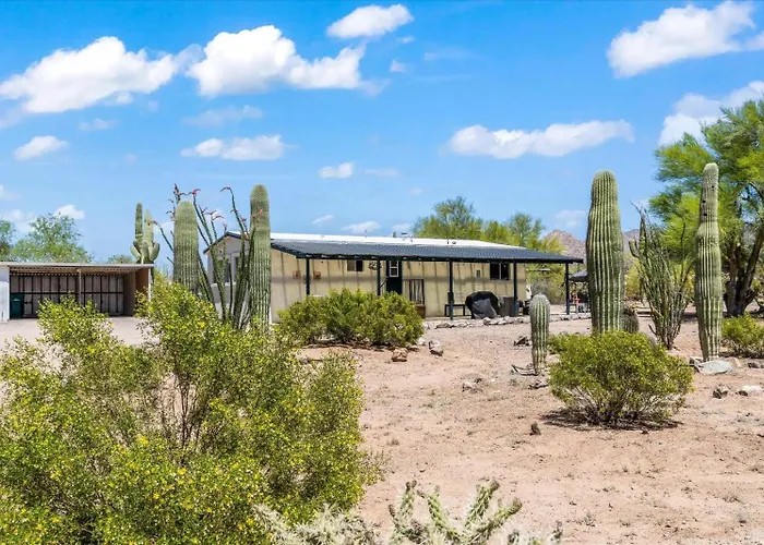Cozy Desert Hideaway *
